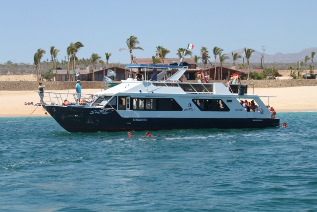 Snorkel al pie de costa